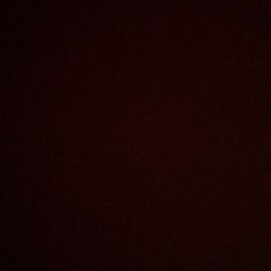 Meet your Posher, Bella